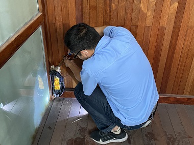 罗村白蚁消杀公司超实用的装修防白蚁攻略