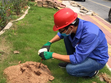 丹灶红火蚁防控中心被红火蚁咬伤后的紧急处置措施