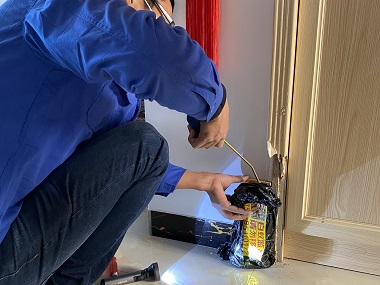 松岗白蚁防治公司家里发现有白蚁的处理方法