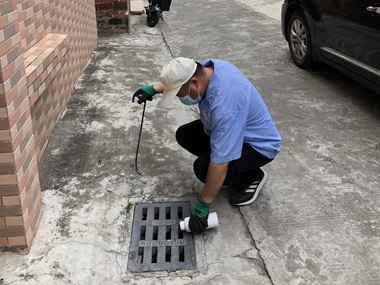 盐步病媒生物防控机构除四害，四害消杀的方法引见