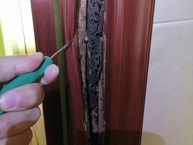 大沥专业除白蚁中心白蚁危害的三大特性，你了解吗？