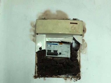 盐步杀灭白蚁机构白蚁处理防治措施有哪些