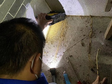 桂城白蚁防控所为什么居住的房屋里会有白蚁